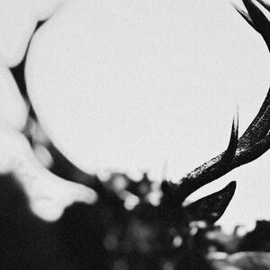 Ihsahn (Orchestral Version) Clear W/ Black Smoke